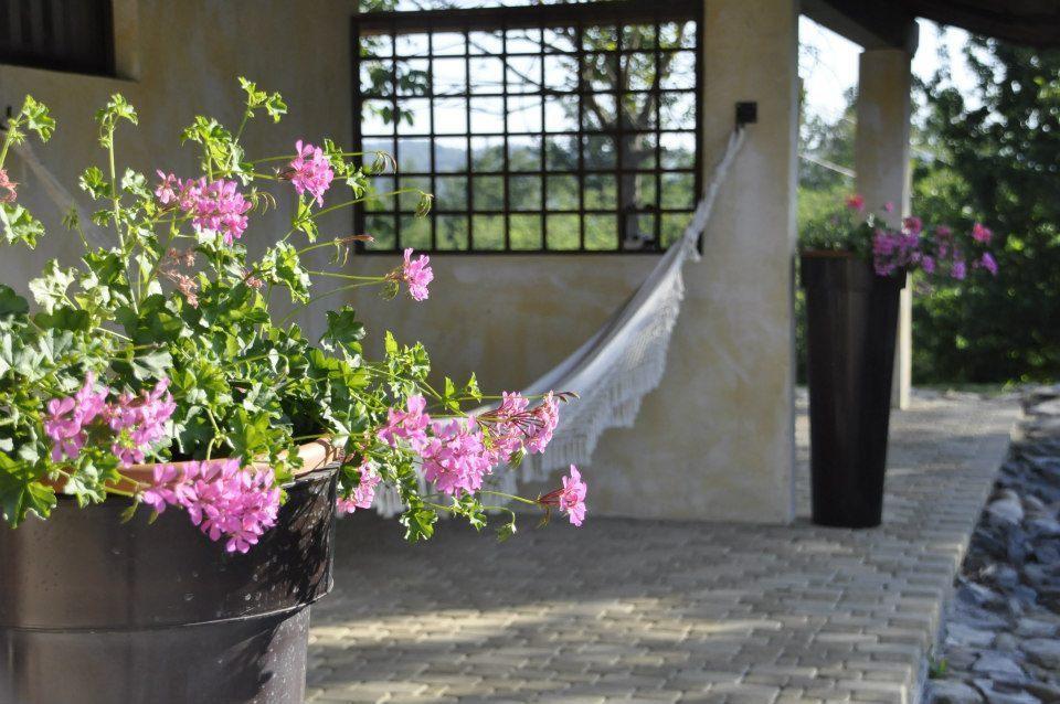 Bed and Breakfast Premiata Osteria Dei Fiori Cortiglione Zimmer foto